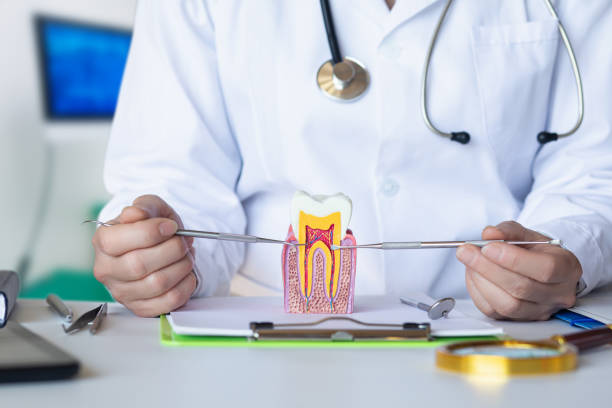 Best Dental Abscess Treatment in Northbrook, OH